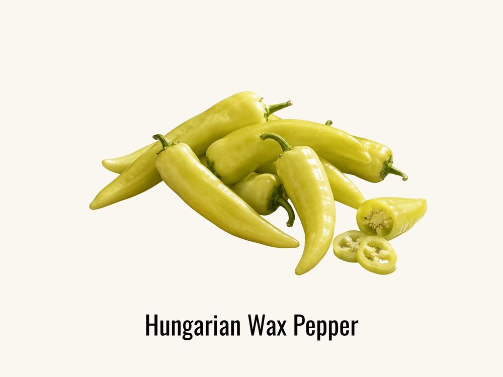 Hungarian wax pepper, a mildly hot Hungarian chili
