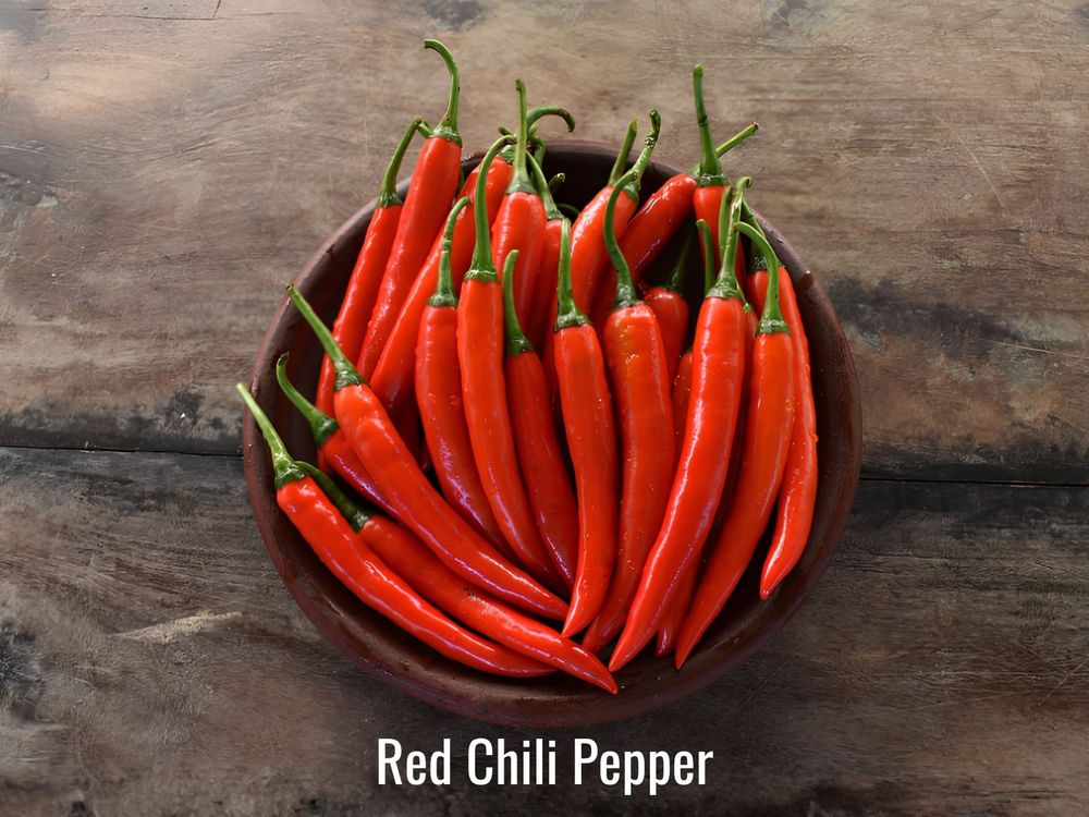 Red chili peppers from different culinary varieties