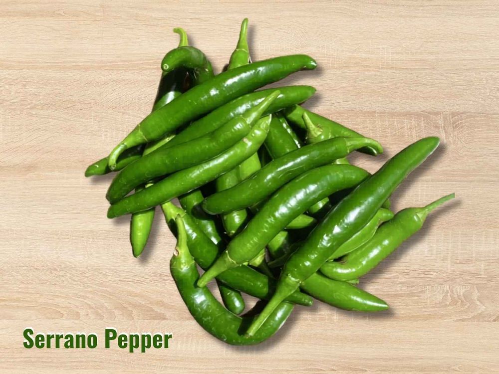 Serrano pepper - a Mexican chili pepper