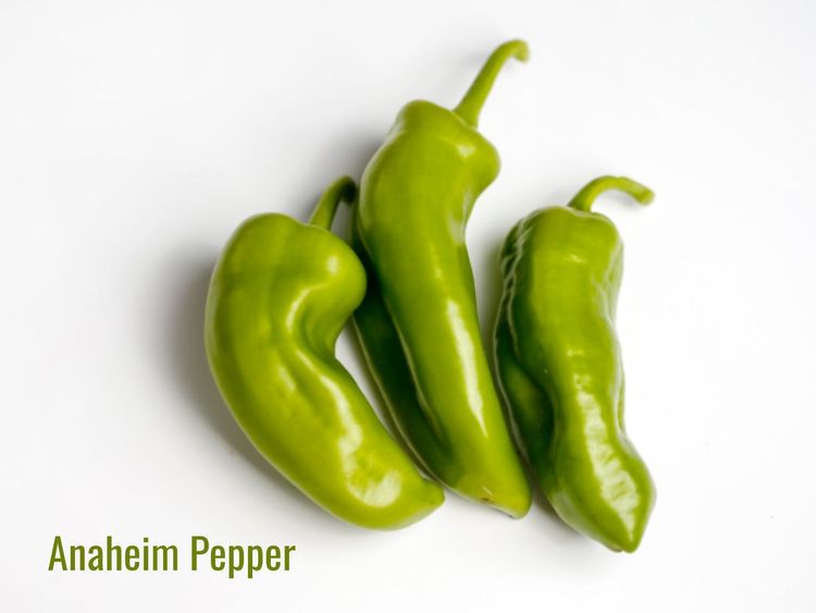 What Is an Anaheim Pepper? Flavor and Uses Explained
