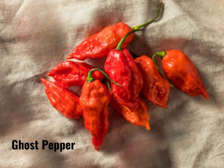 What Is a Ghost Pepper? Heat, Safety, and Uses Explained