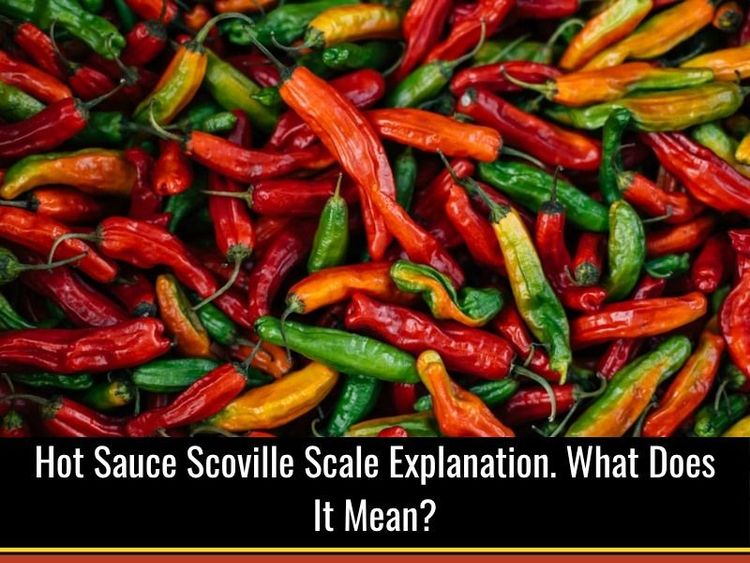 Hot Sauce Scoville Scale Explained: What Does It Mean?