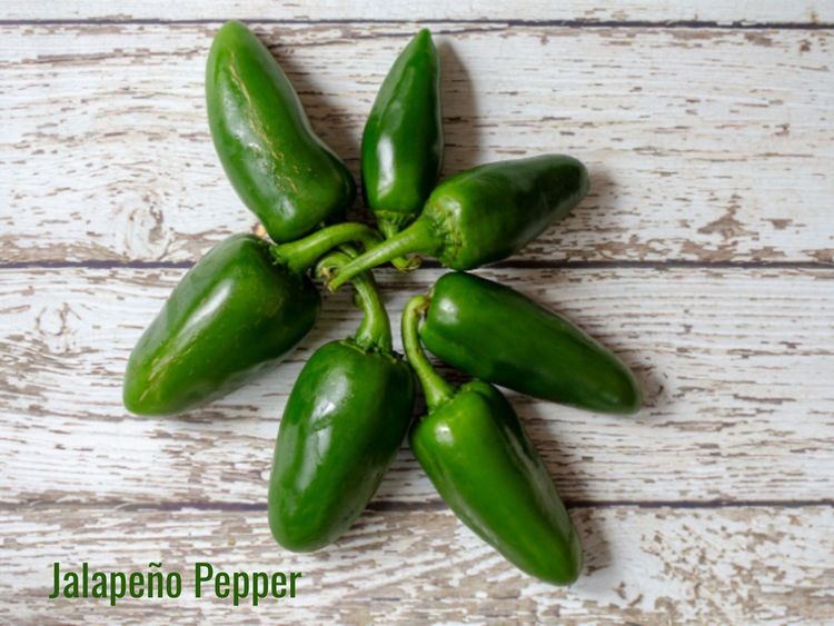 What Is a Jalapeño Pepper? Heat and Uses Explained